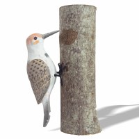 9" Wooden Flicker Woodpecker Figurine
