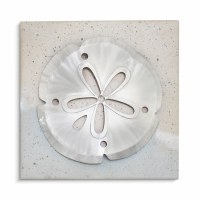 10" Sq Sand Dollar on the Shore Coastal Metal Wall Art Plaque MM341A