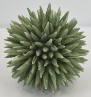 5" Sage Spike Orb