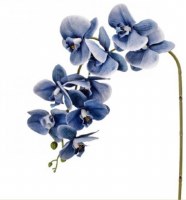 35" Faux Blue Phalaenopsis Stem