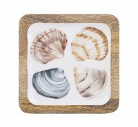 6" Square Four Scallop Shells Wood Tray