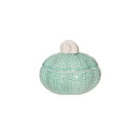 5" Green Ceramic Urchin Box