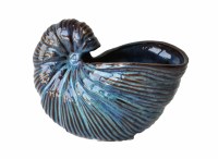 7" Dark Blue Nautilus Ceramic Vase