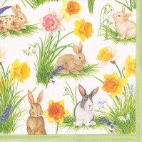 5" Square Bunnies and Daffodils Beverage Napkins