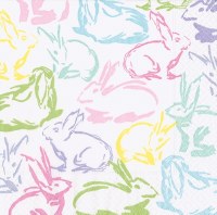 Hip Hop Bunnies Lunch Napkins