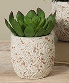 5" Faux Echeveria in a Beige Pot