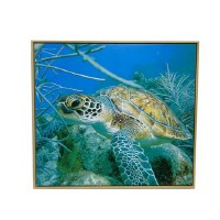 36" x 40" Sea Turtle Under the Sea Framed Canvas