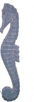 40" x 8" Right Facing Slim Blue Seahorse Wood Coastal Wall Art Plaque