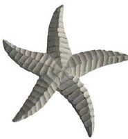 13" Distressed White Wood Starfish Figurine