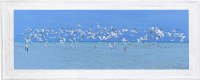 25" x 63" Flock of Seabirds Coastal Gel Framed Print
