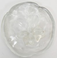 3" Clear Glass Sand Dollar