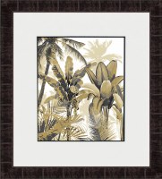 35" x 31" Palm 2 Tropical Framed Print Under Glass