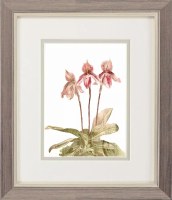 11" x 9" Three Orchids Framed Print Under Glass
