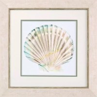 20" Sq Multipastel Scallop Shell 2 Framed Coastal Print Under Glass