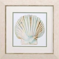 20" Sq Multipastel Scallop Shell 3 Framed Coastal Print Under Glass