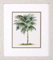 16" x 14" Tall Palm Tree Framed Tropical Print Under Glass