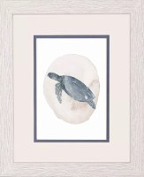 11" x 9" Blue Sea Turtle Framed Coastal Print Under Glass