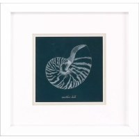 11" Navy Nautilus Shell Framed Coastal Print Under Glass