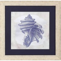 28" Sq Blue Conch Shell Framed Coastal Print Under Glass