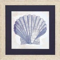 28" Sq Blue Scallop Shell Framed Coastal Print Under Glass