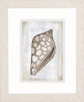 11" x 9" Beige Dotted Shell Framed Coastal Print Under Glass