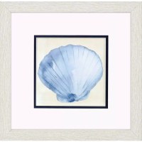 11" Sq Blue Scallop Shell Framed Coastal Print Under Glass