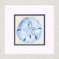 11" Sq Blue Sand Dollar Framed Coastal Print Under Glass