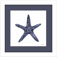 19" Sq Dark Blue Starfish Coastal Framed Print