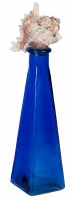 10" Murex Shell Top Blue Bottle