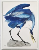 40" x 30" Blue Heron 1 Canvas in a White Frame