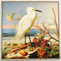 48" Sq White Egret on the Beach Canvas in a Distressed Wood Frame
