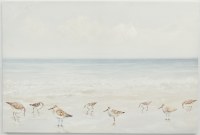 24" x 36" Shorebirds on the Beach Wrapped Coastal Canvas