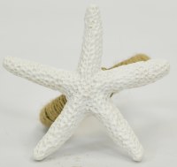 Starfish Napkin Ring