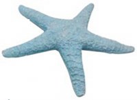 10" Distressed Blue Polyresin Faux Starfish Figurine
