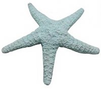 10" Distressed Green Polyresin Faux Starfish Figurine
