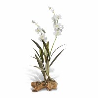 26" White Metal Dendrobium Orchid on a Root Wood Base Sculpture MM925W