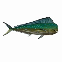 20" x 51" LED Mahi Mahi Coastal Metal Wall Art Plaque MM240