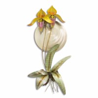 29" x 14" Metal Lady Slipper Orchid Botanical Wall Art Plaque MM921