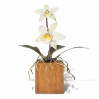 10" Small White Metal Cattaleya Orchid on a Teak Wood Base Sculpture MM930W