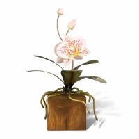 10" Small Multicolor Phalaenopsis Orchid on a Teak Wood Base Sculpture MM931