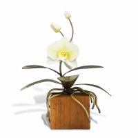 10" Small White Metal Phalaenopsis Orhcid on a Teak Wood Base Sculpture MM931W