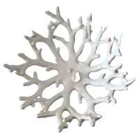 13" Faux White Polyresin Coral Dish