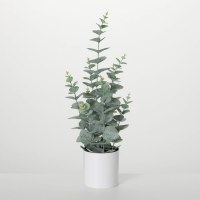 21" Faux Frost Green Eucalyptus Potted Plant