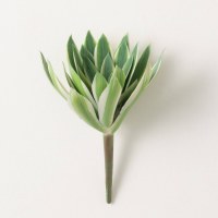 9" Faux Variegated Green Agave Pick