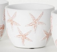 4" White and Terracotta Starfish Design Coastal Pot