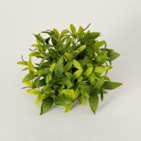 10" Faux Green Ruscus Leaves Half Orb