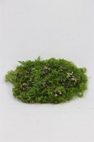 7" x 11" Faux Green Moss Mat