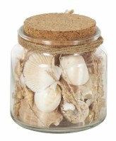 5" Brown Seashells in a Glass Jar