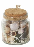 5" Dark Seashells in a Glass Jar