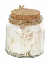 5" White Seashells in a Glass Jar